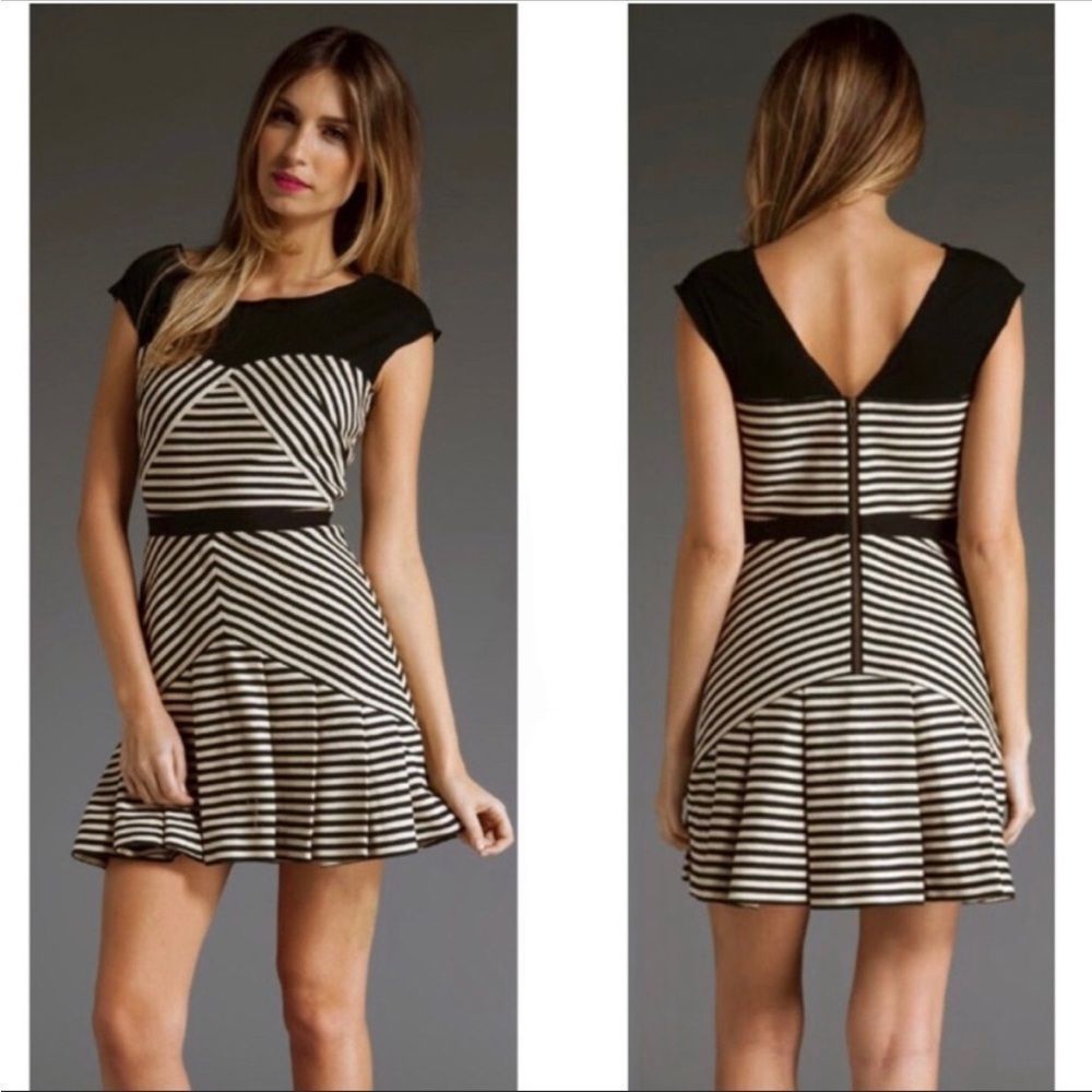 Elizabeth & James black ivory stripe pleat dress 4